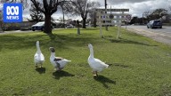 Riddells Creek residents concerned about transport with housing estate planned