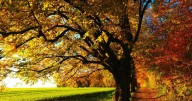 Fall begins in one week