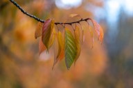 Mass. weather: Fall-like temperatures ahead after stormy weekend