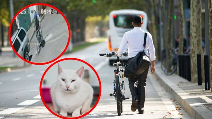Captan a ciclista tirando el cuerpo de un gato muerto en calle de Metepec