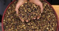 Una segunda vida para el café
