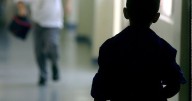 Un polémico dictamen que daña el sistema escolar