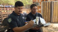 Inspectors, vendors busy during State Fair of Texas keeping fair food safe