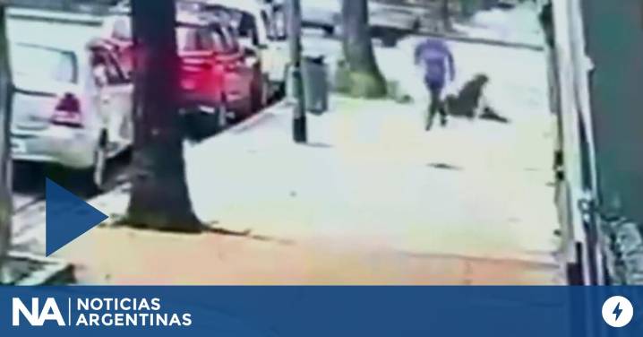 Detuvieron al delincuente que agredió con un botellazo a una mujer para robarle el celular en Villa Pueyrredón