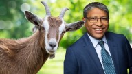 Mandurah councillor Ahmed Zilani to donate half a tonne of goat meat to community kitchen if elected mayor