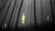 Can Science Finally Explain The Mystery Of Will-O’