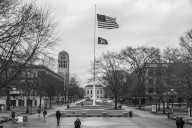 From The Daily: The only way to stop political violence is to solve political polarization