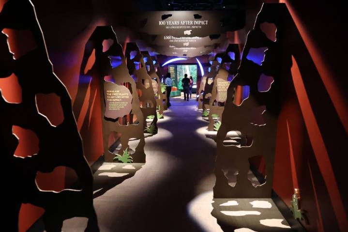 Field Museum digs into the strange era that followed dinosaurs