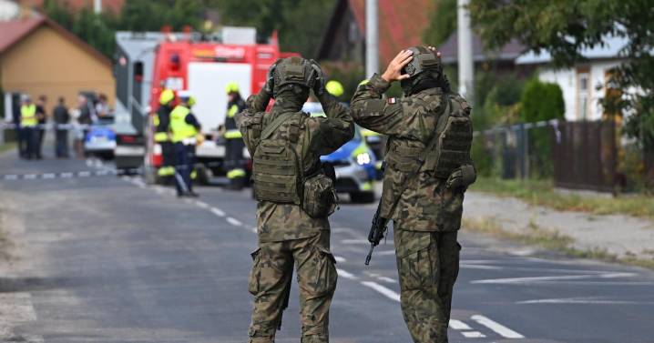 Drones rusos en Polonia: ¿un desafío a la OTAN?