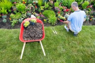 Asking Eric: I love gardening, but I don’t like talking to my neighbors