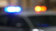 Santa Rosa police detail gruesome scene: 1 woman killed, 2 dogs shot at a home