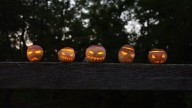 Monroe County Museum rolls out spooky October events and free fun