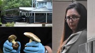 Mushroom killer Erin Patterson’s mercy plea as life behind bars looms