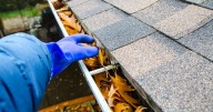 Householders warned over popular roof cleaning mistake that can 'cut its lifespan in half'