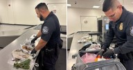 Pasajero intentó ingresar cráneo humano y objetos rituales ocultos en su equipaje por aeropuerto de Tampa