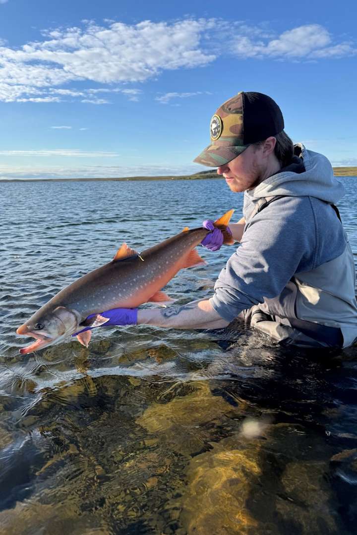 Fish researchers to consult on char population counts