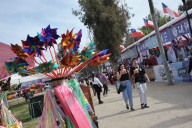 Dispar balance de Fiestas Patrias: fonderos del Parque O’Higgins muestran su disconformidad por las ganancias