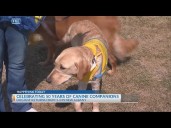 DogFest to mark 50 years of Canine Companions