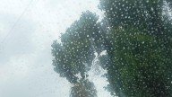 Hermoso clima: vuelven lluvias a la ciudad, conduce con cuidado