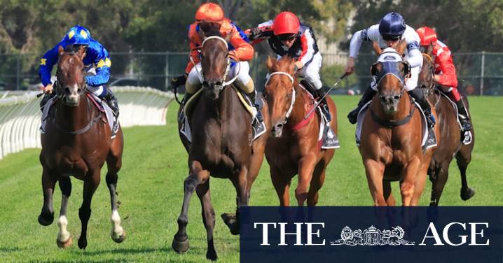 Race-by-race preview and tips for Sunday’s meeting at Dubbo