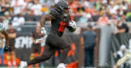 Sunday Dawg Chow (9/28): Time to tame the Lions!
