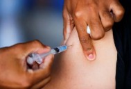 Grupos médicos alertan de riesgos y muertes por el fin de mandatos de vacunas en Florida