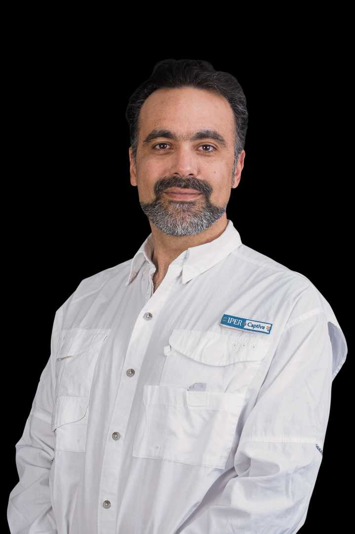BUSCO GERENTE, columna de Michel Adum Abdala