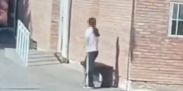 El día después en Mendoza: cómo sigue la nena que se atrincheró armada en su escuela y quién quedó a su cargo