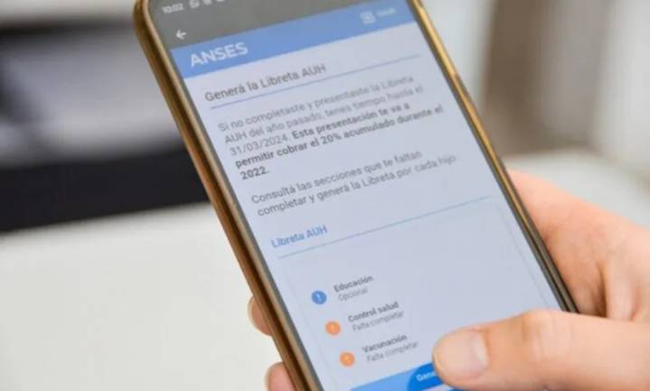 Presupuesto 2026: buscan eliminar la movilidad de las asignaciones familiares