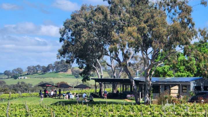 Simon Tolley Wines celebrates new vintage at ‘Savvy Beats’ with smoked brandy, paella and live DJ