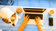 Is remote work a new form of freedom? Or just a different kind of trap?
