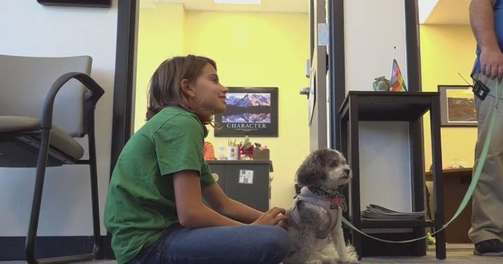 4 therapy dogs bring joy to students at Pittsburgh
