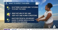 LABOR DAY FORECAST: Partly sunny with some t