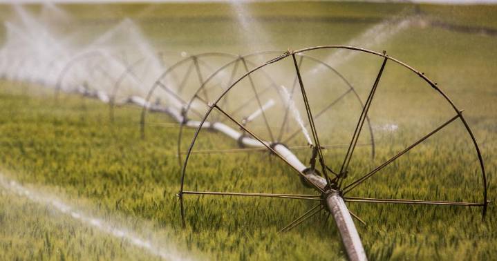 IDWR agents work to bring all 743 waterusers into compliance with July Methodology Order