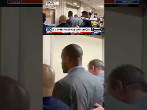 WATCH: NY lawmakers storm Manhattan ICE facility