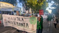 Tercera manifestación contra las talas en Huesca: "Un palo no puede sustituir un árbol centenario"