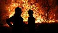 Marta Corella, ingeniera forestal: ?Tenemos un territorio abandonado y sin gestión y esto es una tragedia humana?