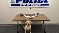 Bellevue drug dealer arrested in major trafficking bust