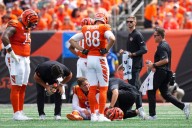 Bengals sign two QBs, including Mike White, as Joe Burrow lands on IR