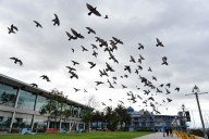 Bay Area weather expected to be a carbon copy of previous week