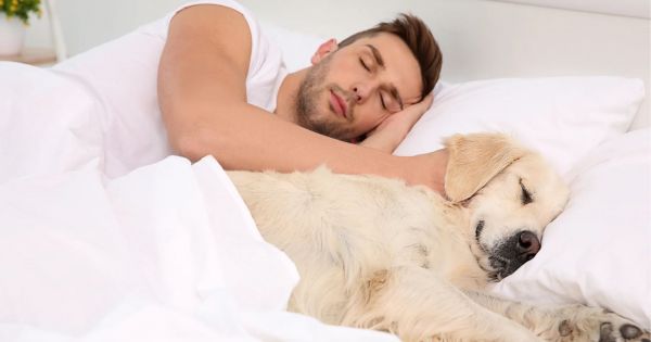 Qué significa dormir en la cama con las mascotas, según la psicología