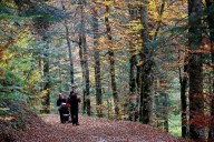 Navarra, tierra de contrastes y belleza apabullante