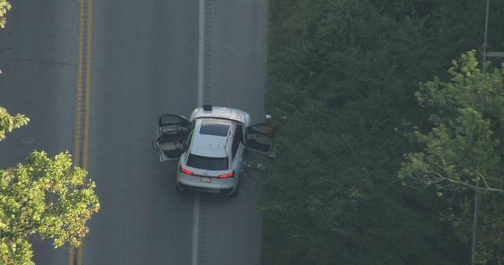 Deer crashes into car windshield, killing juvenile in Chester County, Pennsylvania