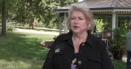 New gazebo opens at Hanscom Park