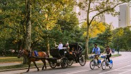 Mayor Adams comes out in support of a bill to ban carriage horses