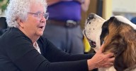 Charlie's Place lets dementia-caretakers have time alone
