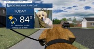 Showers return to the area today!