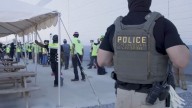 "Llegaron, atropellaron y no aceptaron ningún documento": tres latinos relatan  redada masiva en planta de Hyundai en Georgia