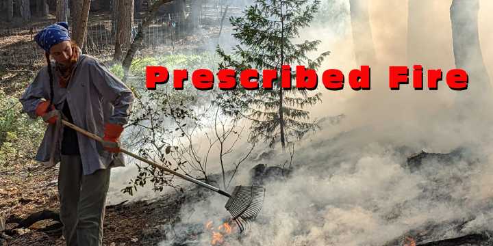 Community Invited to Town Hall Meeting on Prescribed Fire Project in North San Juan