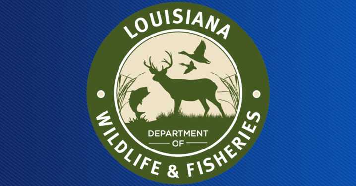 Squirrel and rabbit hunting seasons open Oct. 4 in Louisiana